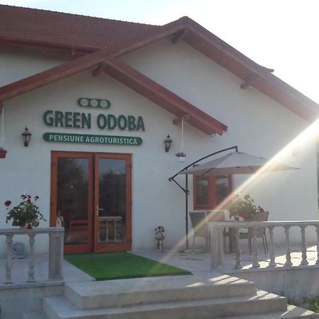 Pensiunea Agroturistica Green Odoba Sătuc Kültér fotó