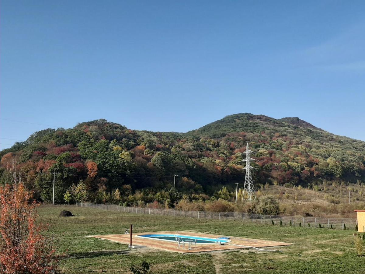 Pensiunea Agroturistica Green Odoba Sătuc Kültér fotó