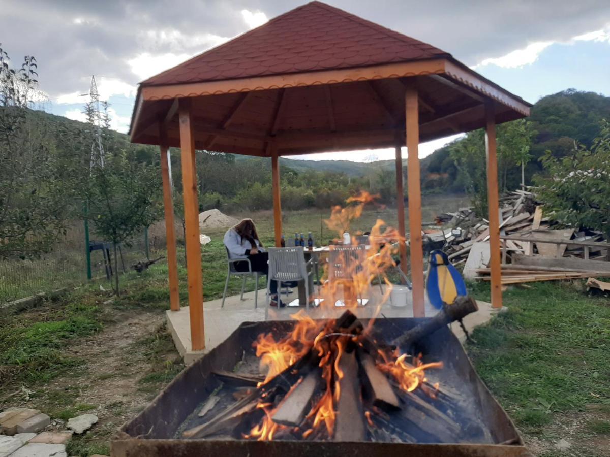 Pensiunea Agroturistica Green Odoba Sătuc Kültér fotó