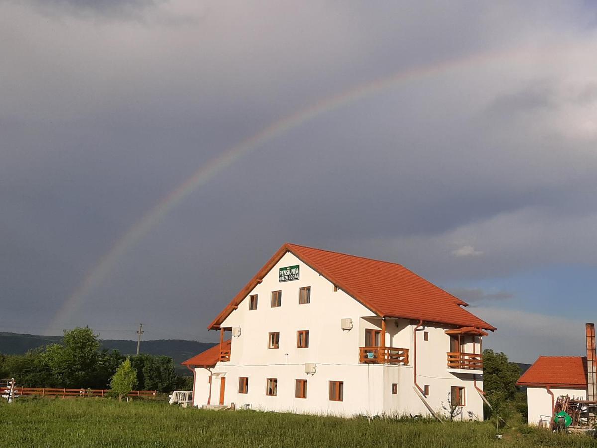 Pensiunea Agroturistica Green Odoba Sătuc Kültér fotó