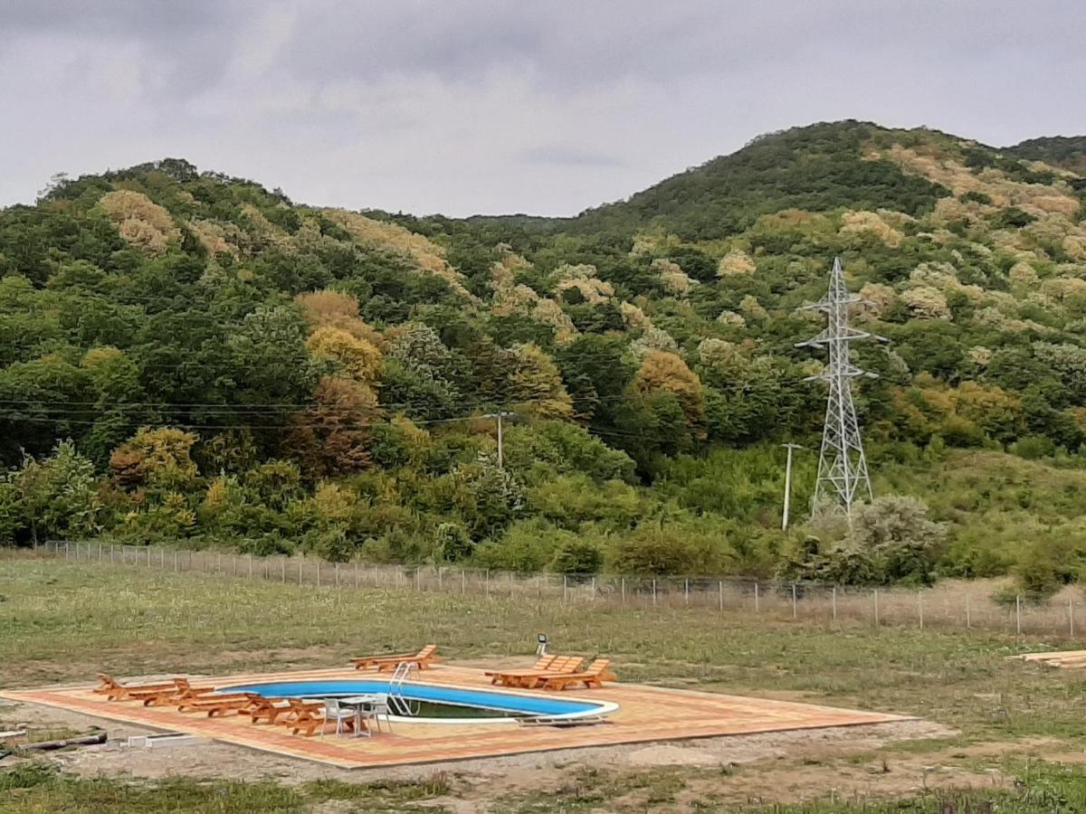 Pensiunea Agroturistica Green Odoba Sătuc Kültér fotó