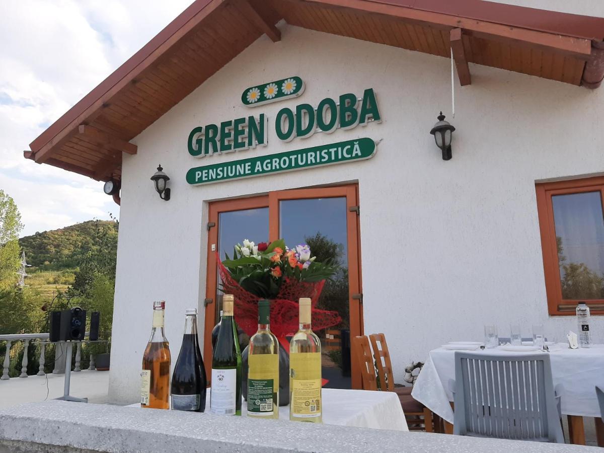 Pensiunea Agroturistica Green Odoba Sătuc Kültér fotó