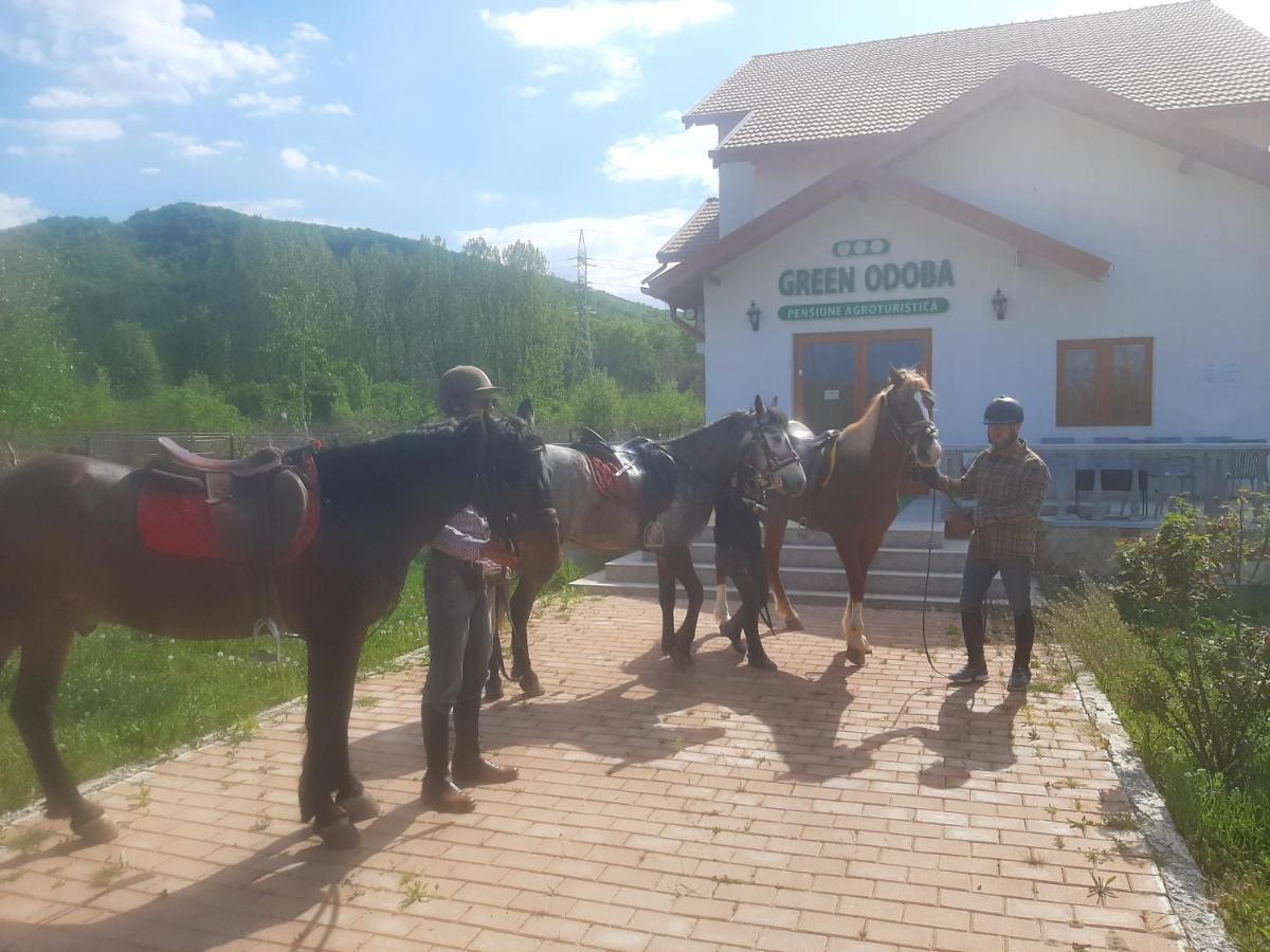 Pensiunea Agroturistica Green Odoba Sătuc Kültér fotó