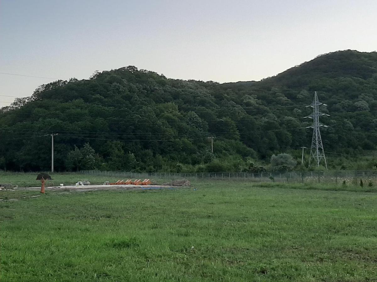 Pensiunea Agroturistica Green Odoba Sătuc Kültér fotó