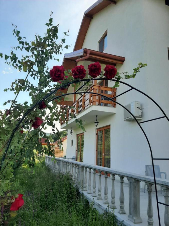 Pensiunea Agroturistica Green Odoba Sătuc Kültér fotó