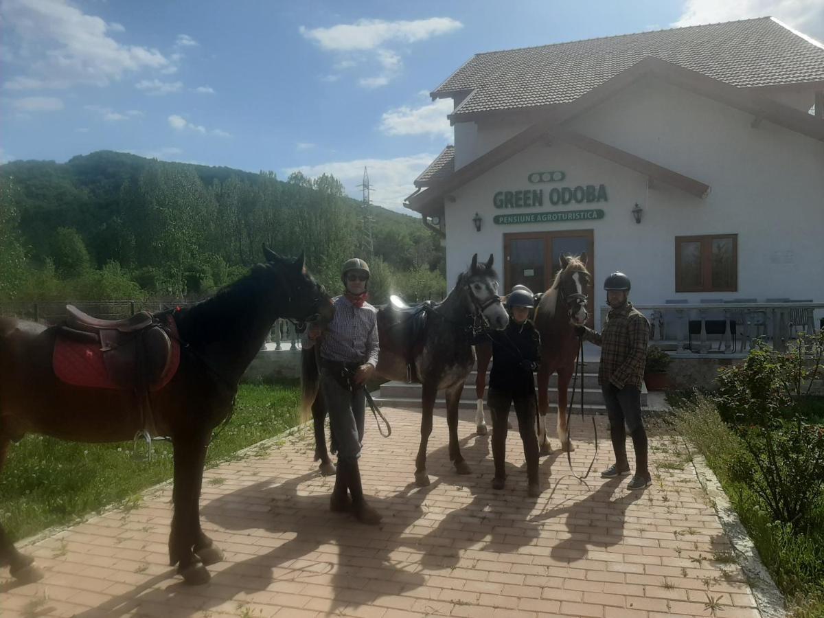 Pensiunea Agroturistica Green Odoba Sătuc Kültér fotó