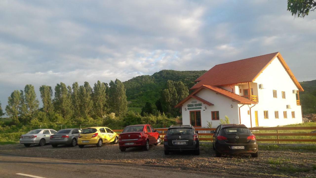 Pensiunea Agroturistica Green Odoba Sătuc Kültér fotó