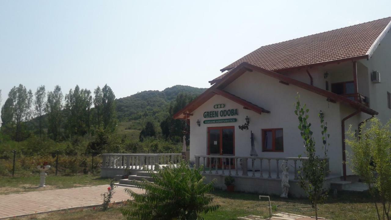 Pensiunea Agroturistica Green Odoba Sătuc Kültér fotó