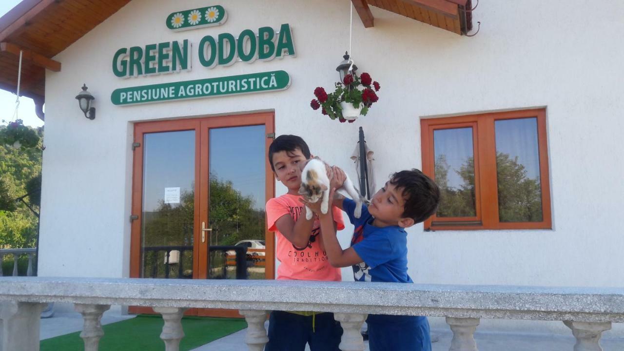 Pensiunea Agroturistica Green Odoba Sătuc Kültér fotó